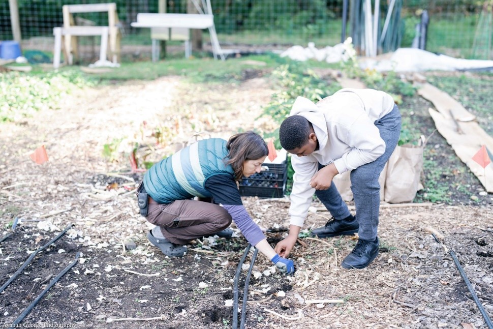 Photo of a woman and man planting garlic at a farm