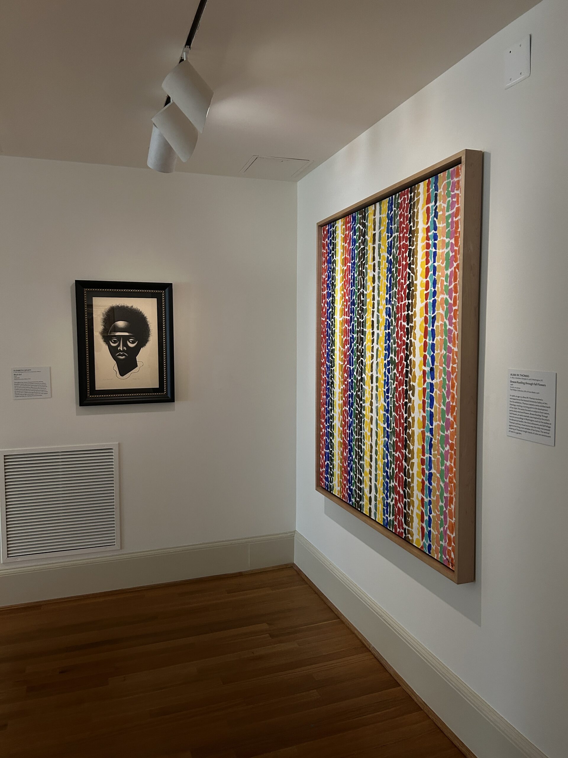 Installation photo of artworks by Elizabeth Catlett and Alma Thomas