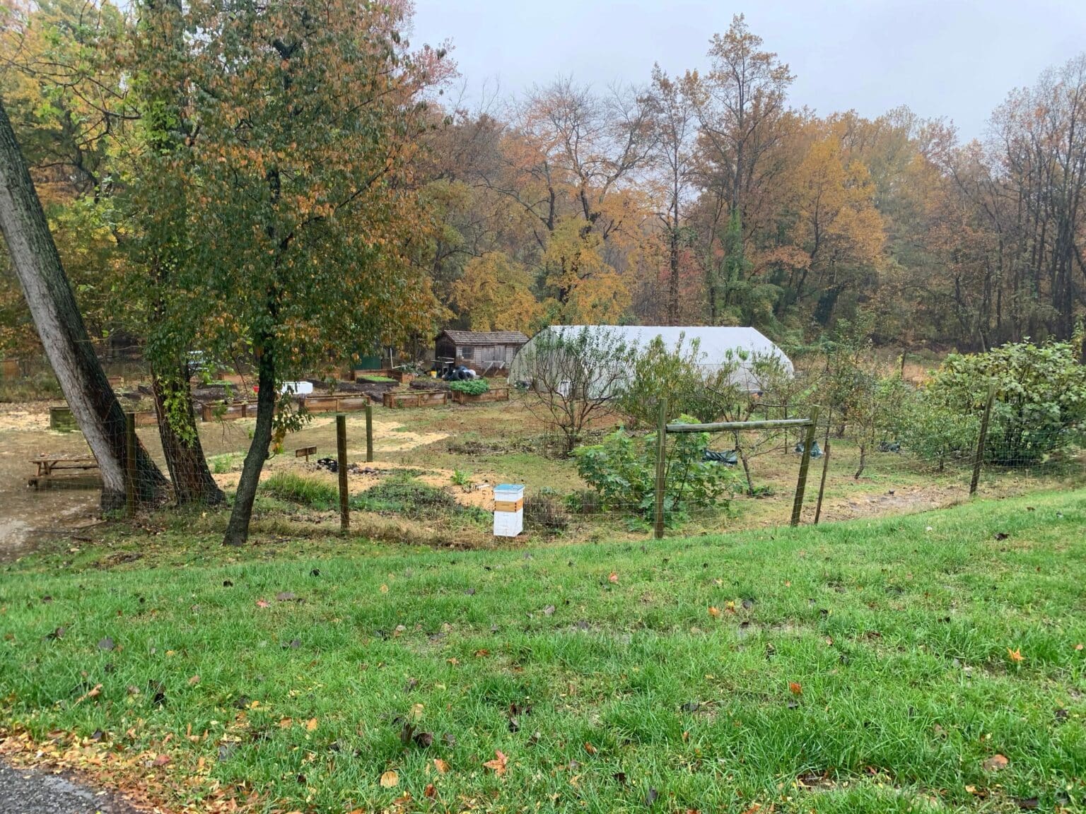 Photograph of THEARC farm