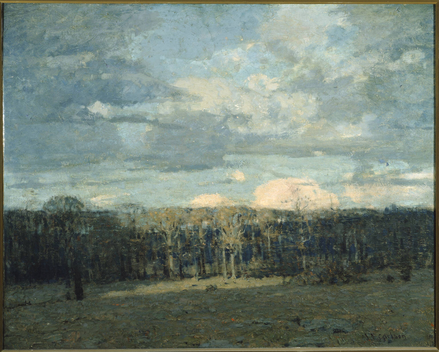 The Moaning Wood | The Phillips Collection