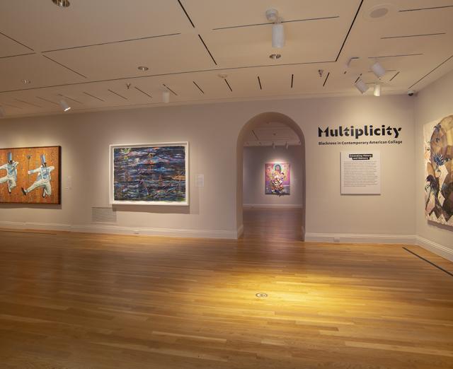 Installation view of Multiplicity