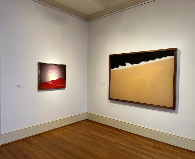 Gallery at Phillips Collection