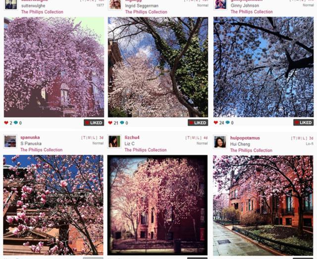 Instagram floral photos