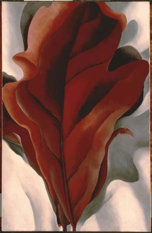 Georgia O'Keeffe, "Large Dark Red Leaves on White"; 1925, Oil on canvas, 31 x 21 in., The Phillips Collection, Acquired 1943; Â© 2008 The Georgia OâKeeffe Foundation/Artists Rights Society (ARS), New York.