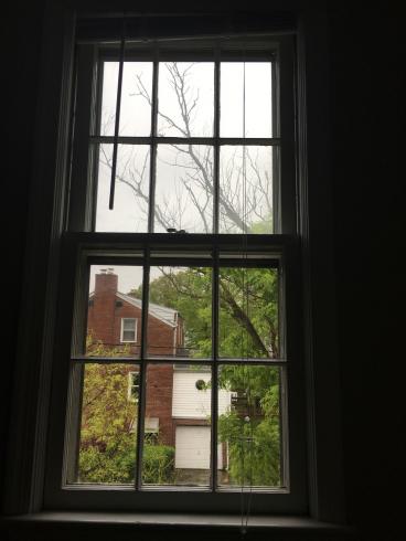 photograph of a view out of a window with trees and a brick house