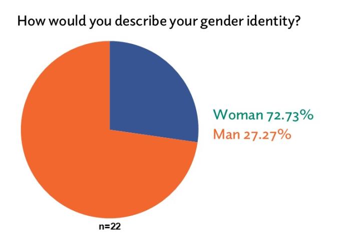 Board Demographics gender slide