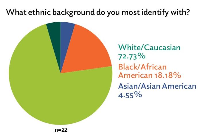 Board Demographics ethnicity slide