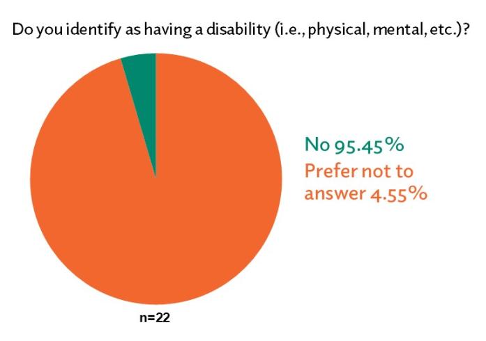 Board Demographics disability slide